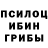 Псилоцибиновые грибы Cubensis Elizabeth Veligura