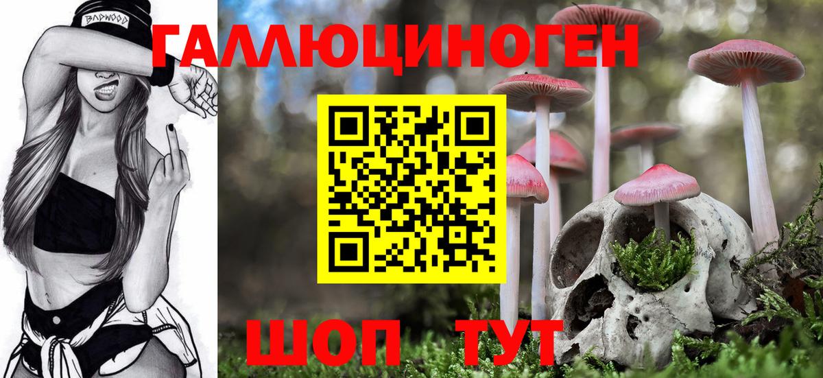 Галлюциногенные грибы мицелий  Вход с VPN  Новосибирск 
